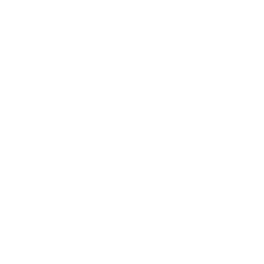 Culture Festival Dance